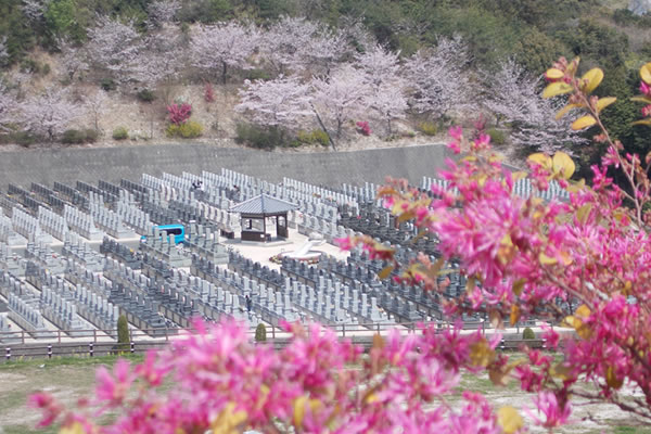 大野城風景写真_25