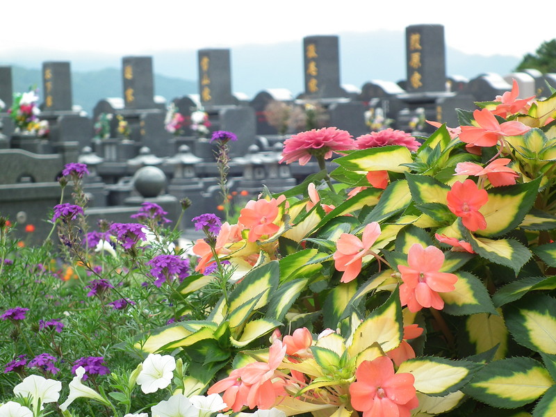 龍華霊園の夏の風景