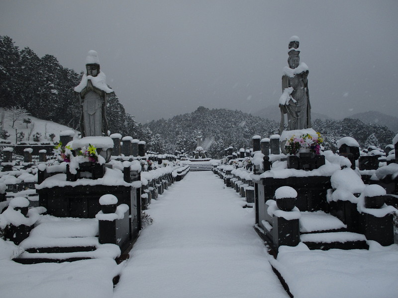 龍華霊園の冬の風景